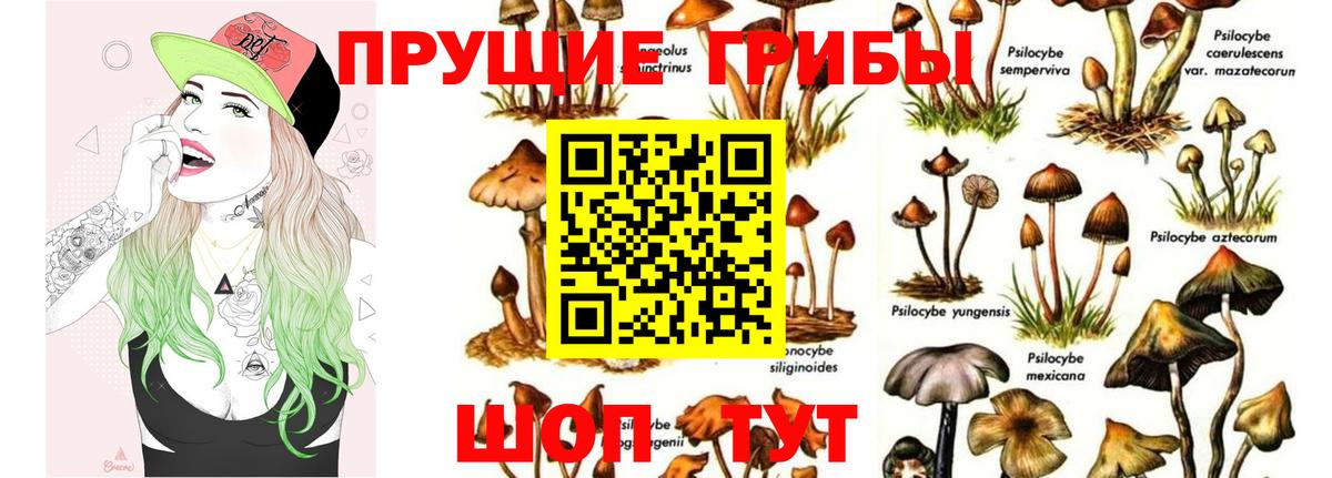 где купить   Вход с VPN  Галлюциногенные грибы Psilocybe  Крымск  Псилоцибиновые грибы Magic Shrooms 